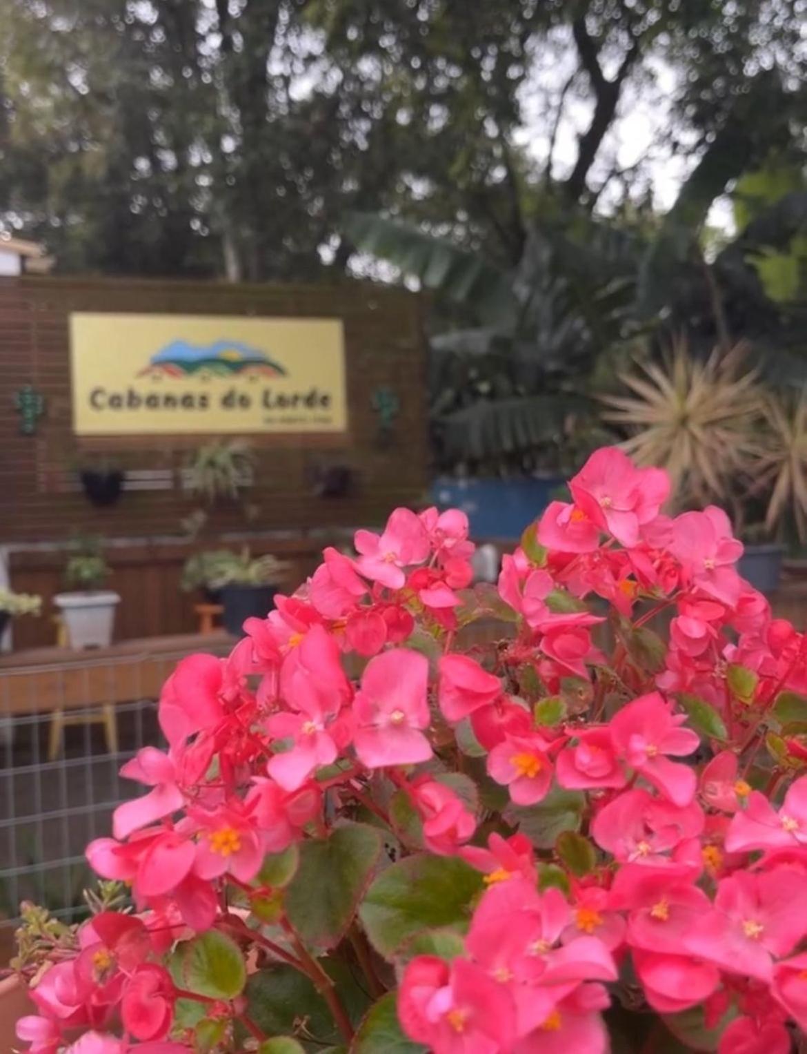פראייה דו רוזה Cabanas Do Lorde מראה חיצוני תמונה